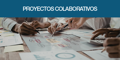 Proyectos
