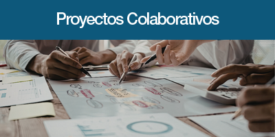 Proyectos Colaborativos